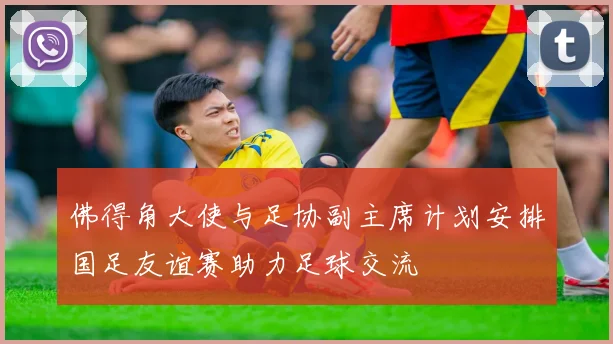 佛得角大使与足协副主席计划安排国足友谊赛助力足球交流