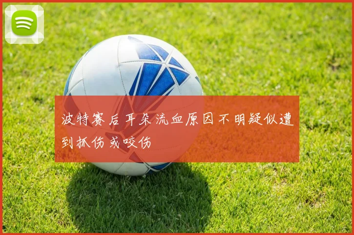 波特赛后耳朵流血原因不明疑似遭到抓伤或咬伤